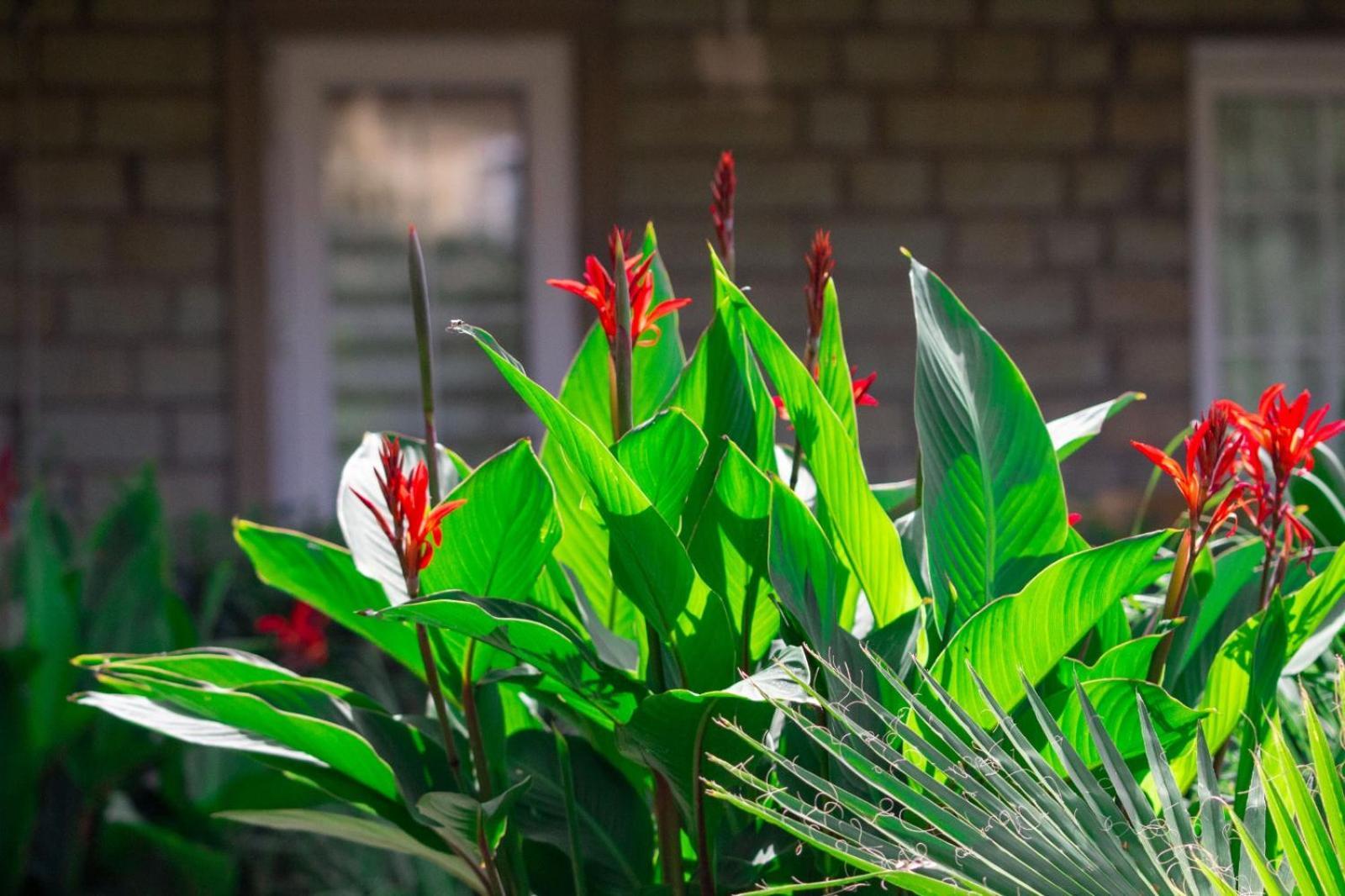 Отель Kampues Garden Фетхие Экстерьер фото